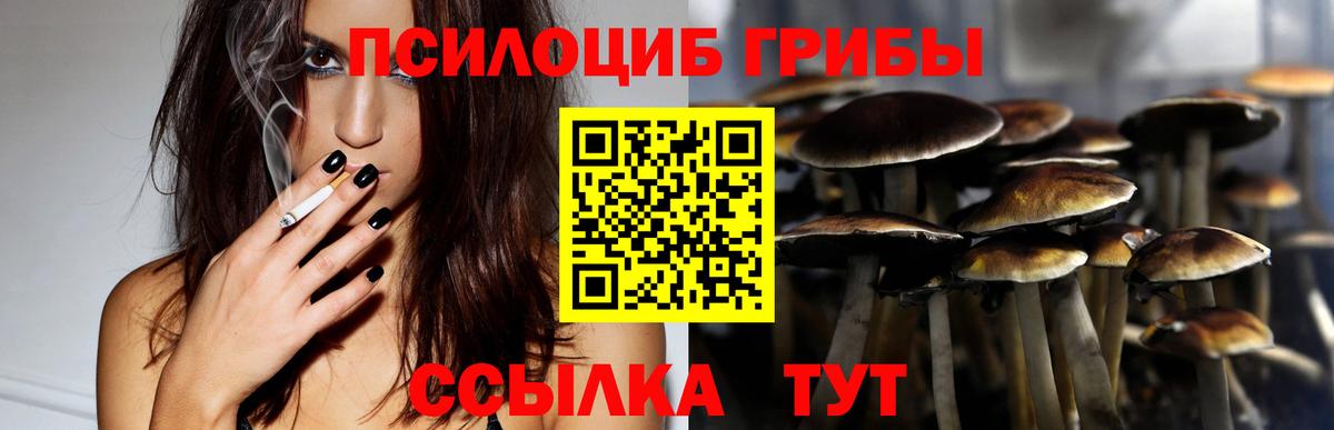 Коломна  Галлюциногенные грибы прущие грибы  Вход с VPN 